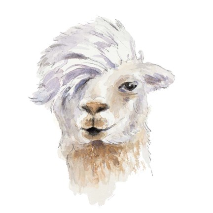 Framed Comb Over Llama Print