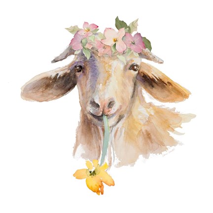 Framed Flower Goat Print