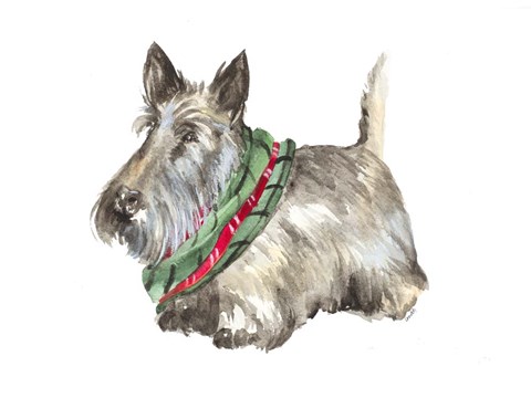 Framed Black Scotty Print