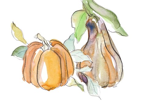 Framed Harvest Pumpkin and Squash II Print
