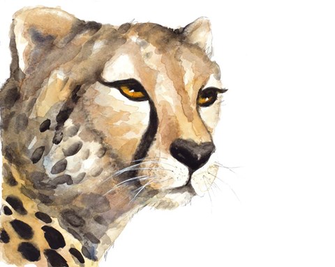 Framed Cheetah Portrait Print