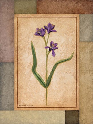 Framed Changing Colors II Print