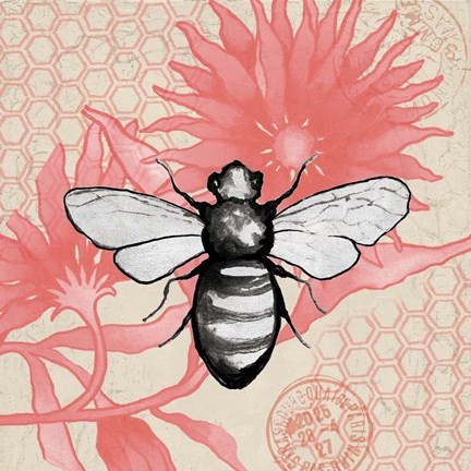 Framed Bee on Pink Flower Square Print