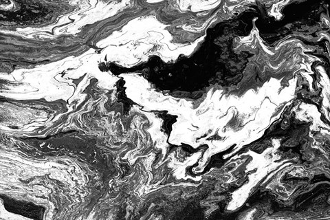 Framed Black Soaring High Print