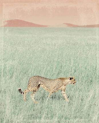 Framed Cheetah in the Wild Print