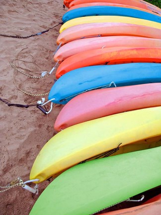 Framed Kayaks I Print