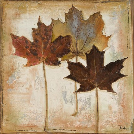 Framed Natural Leaves III Print