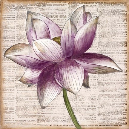 Framed Defined Lotus I Print