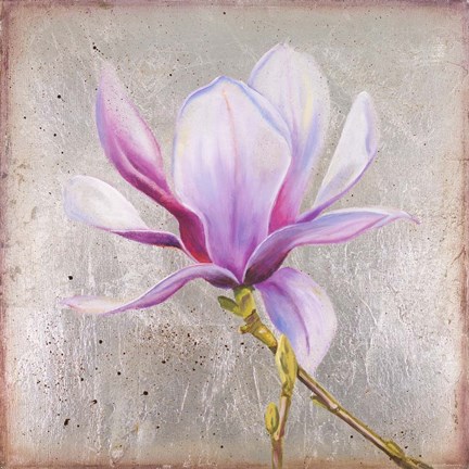 Framed Magnolia on Silver Leaf II Print