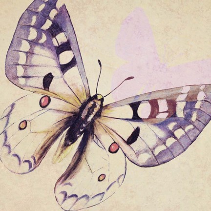 Framed Lavender Butterfly on Cream Print