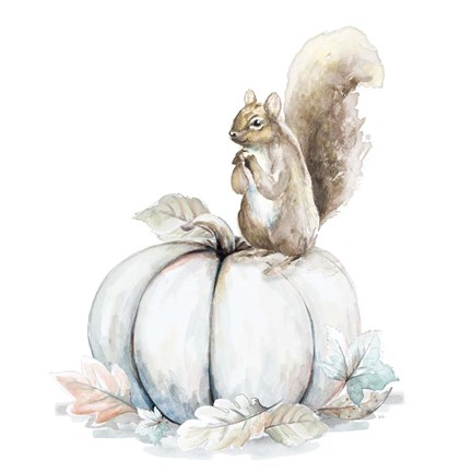 Framed Squirrel and Pumpkin II Print