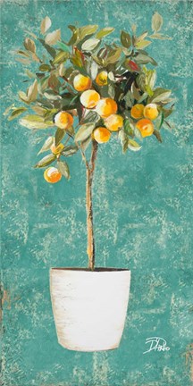 Framed Essential Compliment I Print