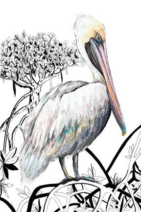 Framed Pelican on Branch II Print