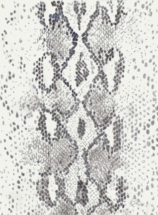 Framed Snake Skin Print