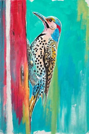 Framed Woodpecker II Print