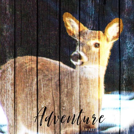 Framed Adventure Awaits Print