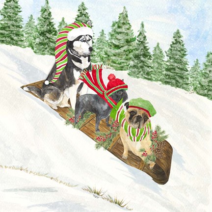 Framed Dog Days of Christmas III Sledding Print