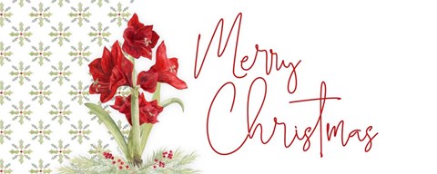 Framed Merry Amaryllis panel I Print