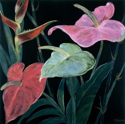 Framed In Bloom II Print