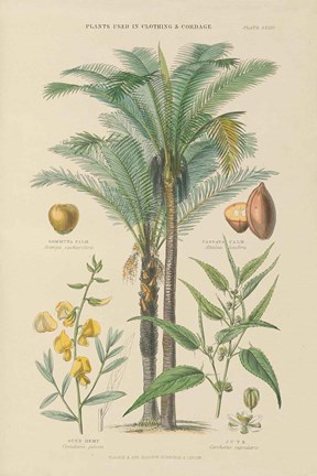 Framed Industrial Trees Print