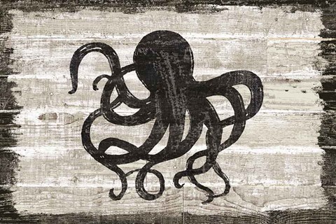 Framed Driftwood Coast IV Print