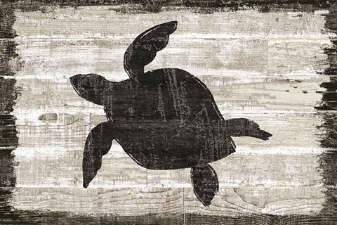 Framed Driftwood Coast III Print