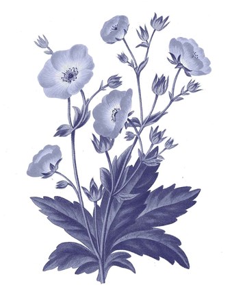 Framed Dark Blue Botanical VI Print
