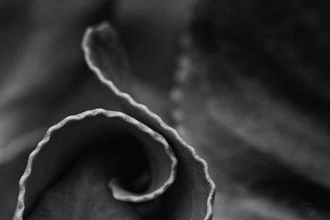 Framed Circling Around Print