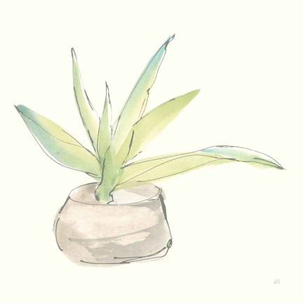 Framed Succulent III Print