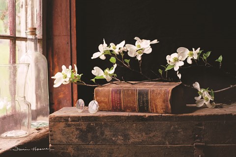 Framed Nature&#39;s Law Print