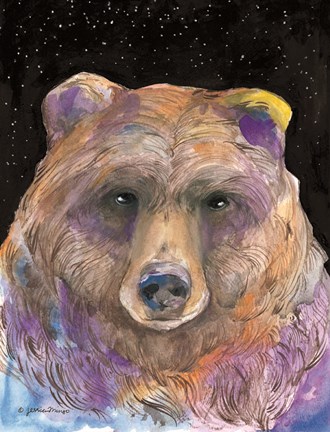 Framed Galaxy Bear Print