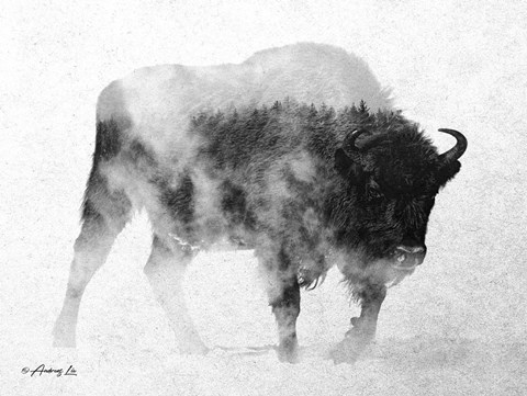 Framed Black &amp; White Buffalo Print
