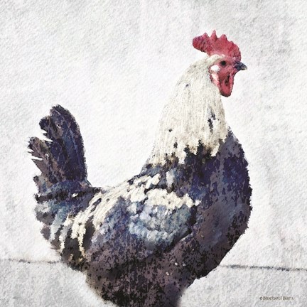 Framed Rooster Blue Print
