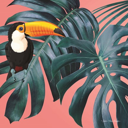Framed Toucan Print