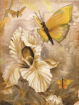 Framed Flower &amp; Butterflies I Print