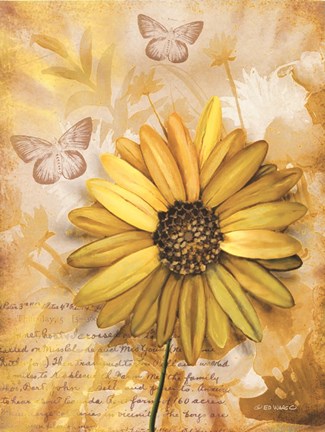 Framed Flower &amp; Butterflies II Print