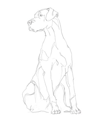 Framed Dog Contour II Print