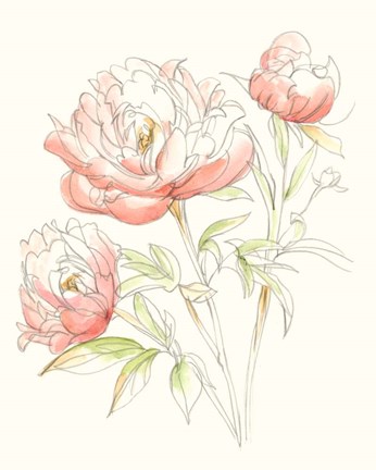 Framed Watercolor Floral Variety III Print