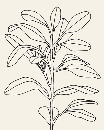 Framed Olive Branch Contour I Print