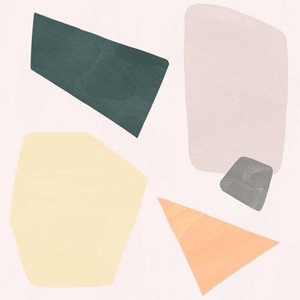 Framed Curio II Print