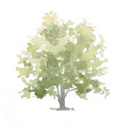 Framed Lonely Oak II Print