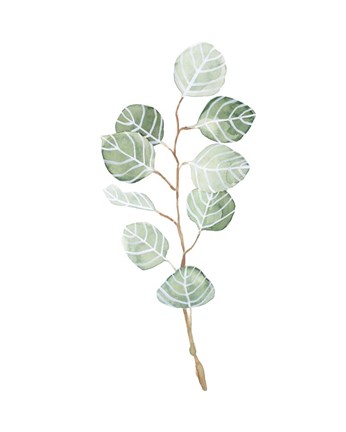Framed Soft Eucalyptus Branch III Print
