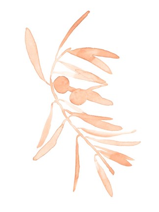 Framed Blush Olive Branch I Print