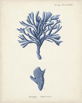 Framed Antique Coral in Navy IV Print