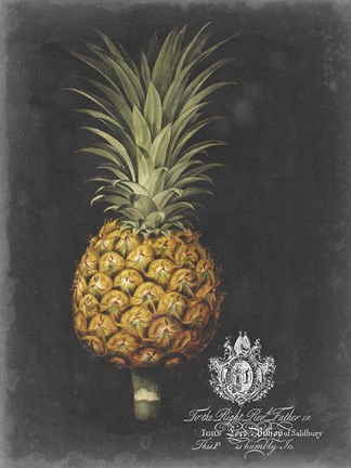 Framed Royal Brookshaw Pineapple II Print