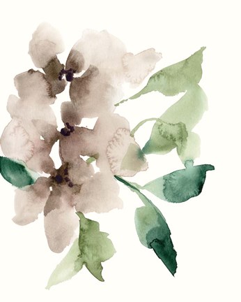 Framed Mauve Flowers II Print