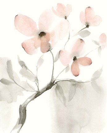 Framed Dogwood Dream I Print