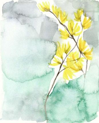Framed Forsythia Dreams II Print