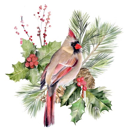 Framed Cardinal Holly Christmas II Print
