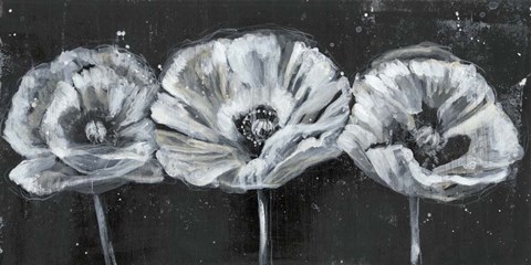 Framed White Trio on Black II Print